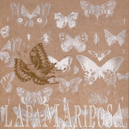 Lapamariposa